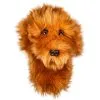 Daphne's Headcovers Daphnes Headcover - Doodle Dog -Golf Shop 0086883 daphnes headcover doodle dog